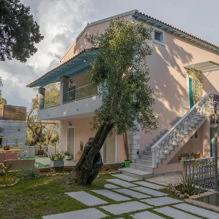 Olive Tree By Estia Villa *