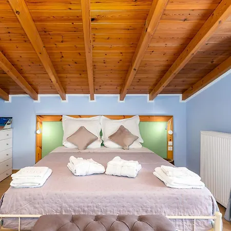 Olive Tree By Estia Villa Benitses (Corfu)